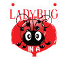 Ladybug Ladybug Entomology Insects