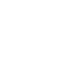 New Orleans Skyline