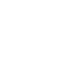 New Orleans Skyline
