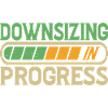 Downsizing In Progress 20