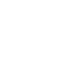Honolulu Skyline