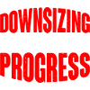 Downsizing In Progress 19