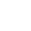 Tampa Skyline
