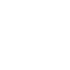 Tampa Skyline