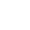 Pittsburg Skyline