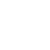 Pittsburg Skyline