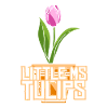 Tulips Girls Tulips