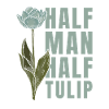Tulipes Guy Tulipes