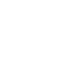 Bonsai Tree