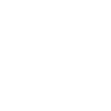 Bonsai Tree