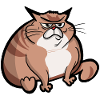 Big cat