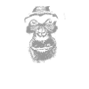 Cameroon - Chimpanzees