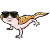 Gecko Lovers