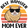 Cadeaux de hamster pour femmes