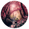 Cherry blossom forest