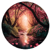 Cherry blossom forest