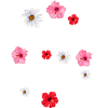 How about spring