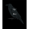 Haikyuu " fly"