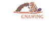 Beaver Nutria