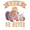 Beaver Nutria