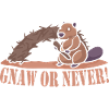 Beaver Nutria