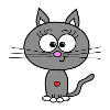 Gris chat
