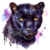 Acavrel black jaguar