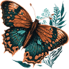Butterfly Dreams