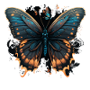 Beautiful Butterflies