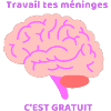 travail tes meninges