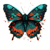 Lovely Buttefly