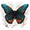 Couleurs papillon