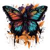 Beauté papillon