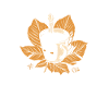 Kaffee zuerst dann Hundepflege Koffeintrinker