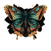 Gliding Butterfly