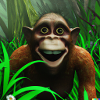 Laughing monkey in the jungle