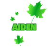 Gift for Aiden