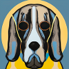 Basset Hound
