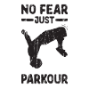 Keine Angst, nur Parkour - Parkour