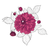 dahlie bunt