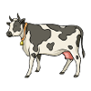 Vache