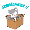 Le chat de schrödinger