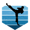 Kickboxing féminin Kickboxeur Kickboxing