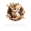 Fennec Fox