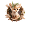 Fennec Fox