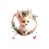 Fennec Fox