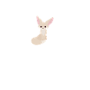 Fennec Fox