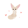 Fennec Fox