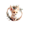 Fennec Fox