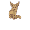 Fennec Fox